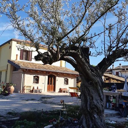 Casa Ottani Il Focolare B&B المظهر الخارجي الصورة