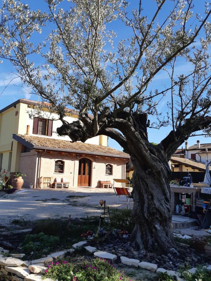 Casa Ottani Il Focolare B&B المظهر الخارجي الصورة